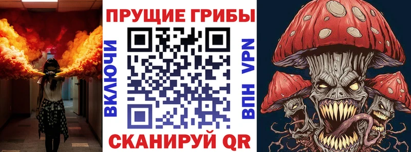 Купить  Волгодонск  Псилоцибиновые грибы MAGIC MUSHROOMS 